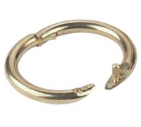 Kerbl Anneau en laiton pour bouleau Diamètre intérieur 52-54 mm.