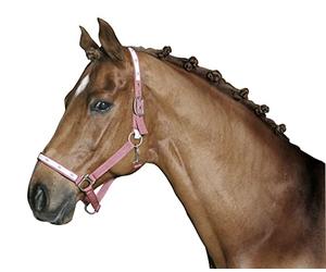 Kerbl Boîte de 800 gommes pour poulet Blanc