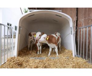 Kerbl CalfHouse Premium DUO niche à veaux sans enclos Espace pour trois veaux jusqu'à 150 kg