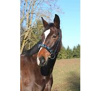 Kerbl Caveçon Exclusif_Noir, Pur Sang pour Cheval COB Noir