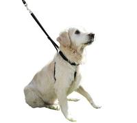Kerbl Chien Harnais Maxi Leader 45-60 cm Noir
