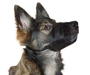 Kerbl Chien Muselière Nylon 20-26 cm Noir