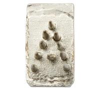 Kerbl Empiècements lettres et chiffres pour pince à tatouer différentes tailles