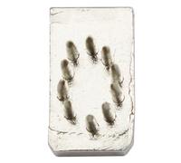 Kerbl Empiècements lettres et chiffres pour pince à tatouer différents chiffres