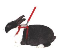 Kerbl Ensemble Harnais et laisse pour lapins Laisse 140 cm, ajustable