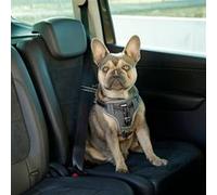 Harnais De Sécurité D?Auto À Animaux De Compagnie 44-55 Cm Noir Kerbl