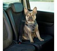 Kerbl Harnais de sécurité d’auto à animaux de compagnie 68-85 cm Noir Kerbl