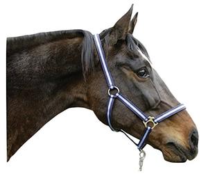 Kerbl Hippo Tête Collier, Mixte, Hippo, Bleu