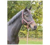 Kerbl Hippo Tête Collier, Mixte, Hippo, Red