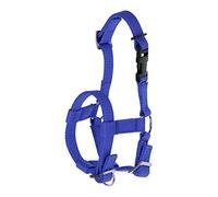 Kerbl Licol d'alpaga tous types d'alpaga, fermeture à clip, taille réglable, bleu