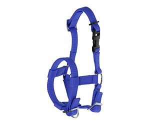Kerbl Licol d'alpaga tous types d'alpaga, fermeture à clip, taille réglable, bleu