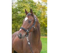 Kerbl Licol Dexter avec doublure en polaire XXFull 3224637