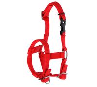 Kerbl Licol en alpaga - Tous types d'alpaga - Fermeture à clip - Taille réglable - Rouge
