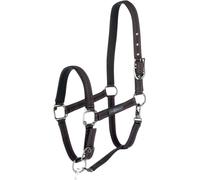 Kerbl Licol pour GoLeyGo 2.0 avec adaptateur