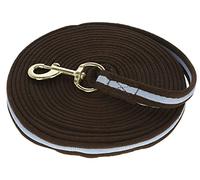 KERBL Longe de Travail pour Cheval Brun/Bleu Clair 8 m 1 Unité