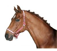 Kerbl Lot de 500 elastiques à crinière, Noir