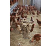 Kerbl Lot de boules pour poules + Briquettes d'épeautre Lot de boules pour poules + 2 cartons avec chacun 24 briquettes