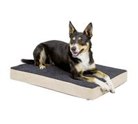 Kerbl Matelas en mousse pour chiens 80326 – 80 x 50 cm Beige et Gris