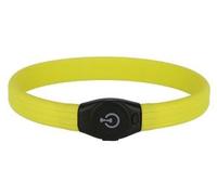 KERBL Maxi Safe Collier LED pour Chien Anis 60 cm