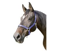 Kerbl Mixte Halfter 2-fach Verstellbar KERBL Mustang Licol pour Cheval Bleu Roi Noir Taille 3, royalblau/schwarz, Taille 3 EU