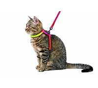 Kerbl Pet Harnais pour Chat Rainbow Multicolore, avec Laisse 120cm