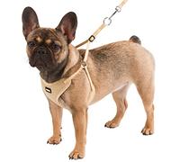 Kerbl Pet Harnais pour Chiots Beige, 24-44cm, 10mm, 3pcs