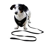 Kerbl Pet Harnais pour Chiots Noir, 30-50cm, 10mm, 3pcs