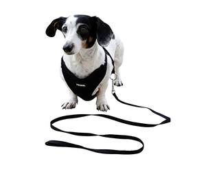 Kerbl Pet Harnais pour Chiots Noir, 30-50cm, 10mm, 3pcs