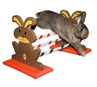 Kerbl Pet Obstacle pour Rongeur Agility 62X33X34cm