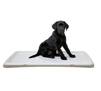 Toilettes pour chiots Kerbl - creme - 60x90 cm