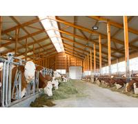Kerbl Projecteur à LED pour halles, dimmable différentes tailles