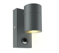 Kerry Appliques murales avec détecteur de mouvement, éclairage extérieur, éclairage extérieur, secteur, IP44 gris anthracite, downlight en acier inoxydable, luminaire de sécurité extérieur détecteur