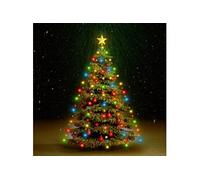 vidaXL Guirlande lumineuse d'arbre de Noël 210 LED colorées 210 cm
