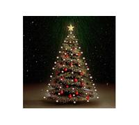 Kerstboomverlichting met 210 LED's net 210 cm50700