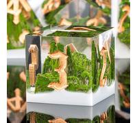 KERWELLSI Mountain Forest Lot de 7 dés DND en résine D&D avec coffret cadeau, 7 dés polyédriques et RPG à bords tranchants naturels pour jeux de rôle D20 D12 D10 D8 D6 D4