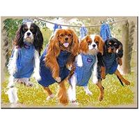 KESIMO Grand Chien Papery Puzzles pour Adultes 1000 Pièces Cavalier King Charles Spaniel Chiens Drôle Animal De Compagnie 50x70CM