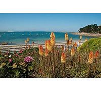 KESIMO Paysage De Bretagne France Diy 5D Diamant Peinture Par Numéro Kits Uniques Maison Décoration Murale Cristal Strass Décoration Murale Point De Croix 30x40CM