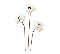 KESOTO Composition de Fleurs Séchées pour Vase, Projet Floral à Réaliser, Accessoire pour Photographie, Décoration de Table En Plantes Séchées, Style J