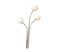 KESOTO Composition de Fleurs Séchées pour Vase, Projet Floral à Réaliser, Accessoire pour Photographie, Décoration de Table En Plantes Séchées, Style K