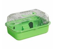 KESOTO Hamster Cage Transporteur Transparent Habitat Portable Acrylique Ventilé Accessoires Complet Roue Abreuvoir Bol Matériau PP Facile à Nettoyer Adapté, Vert