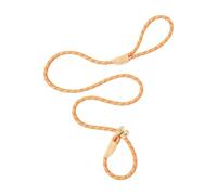 KESOTO Laisse pour Chiens de Petite, Moyenne et Grande Taille. Laisse D'éducation Canine. Idéale pour La Course, La Marche et La Randonnée, Orange