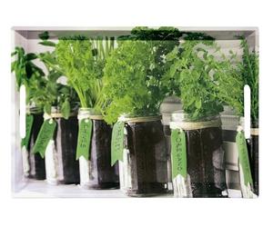 Kesper 77334 Plateau Herbs 50 x 35 x 4 5 cm