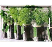 Plateaux & présentoirs - Plateau de service motif Herbes aromatiques - 48 x 30 cm - Mélamine Vert