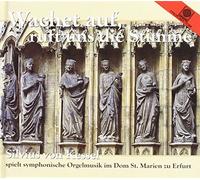 Kessel,Silvius Von - Orgel Erfurter Dom (Luxus-Set) [Import]