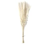 kesurpae Lot de 15 Bouquets d'herbe de Pampa séchée Naturelle pour décoration Salon, Cuisine, Jardin, fête, beauté Qui ne se décolore jamais