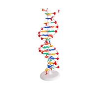 kesurpae Modèle double pour l'apprentissage : un outil robuste qui encourage la découverte pédagogique des structures génétiques pour les élèves et les enseignants. Outil de vulgarisation des sciences