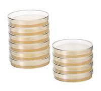 KESYOO 10 Boîtes de Petri Pré-coulées de 7 Cm Contenant de La Gélose, pour Expériences Scientifiques Et de Laboratoire, Microbiologie, Cours de Biologie, 10 Pièces