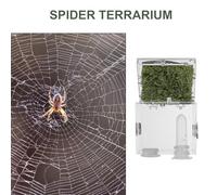 KESYOO Terrarium Portable pour Araignées Sauteuses 2 X 5 CM en Acrylique Pipette et Pinces, Adapté aux Petits Insectes Rampants et Reptiles