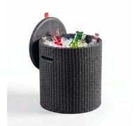 Keter Tabouret glacière Cool Stool 39 L 3-en-1 résine imitation rotin Graphite (230905)