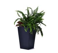 KETER RATTAN PLANTER M 55,4L Pot moyen, 38,5 x 57 cm, anthracite 17192301